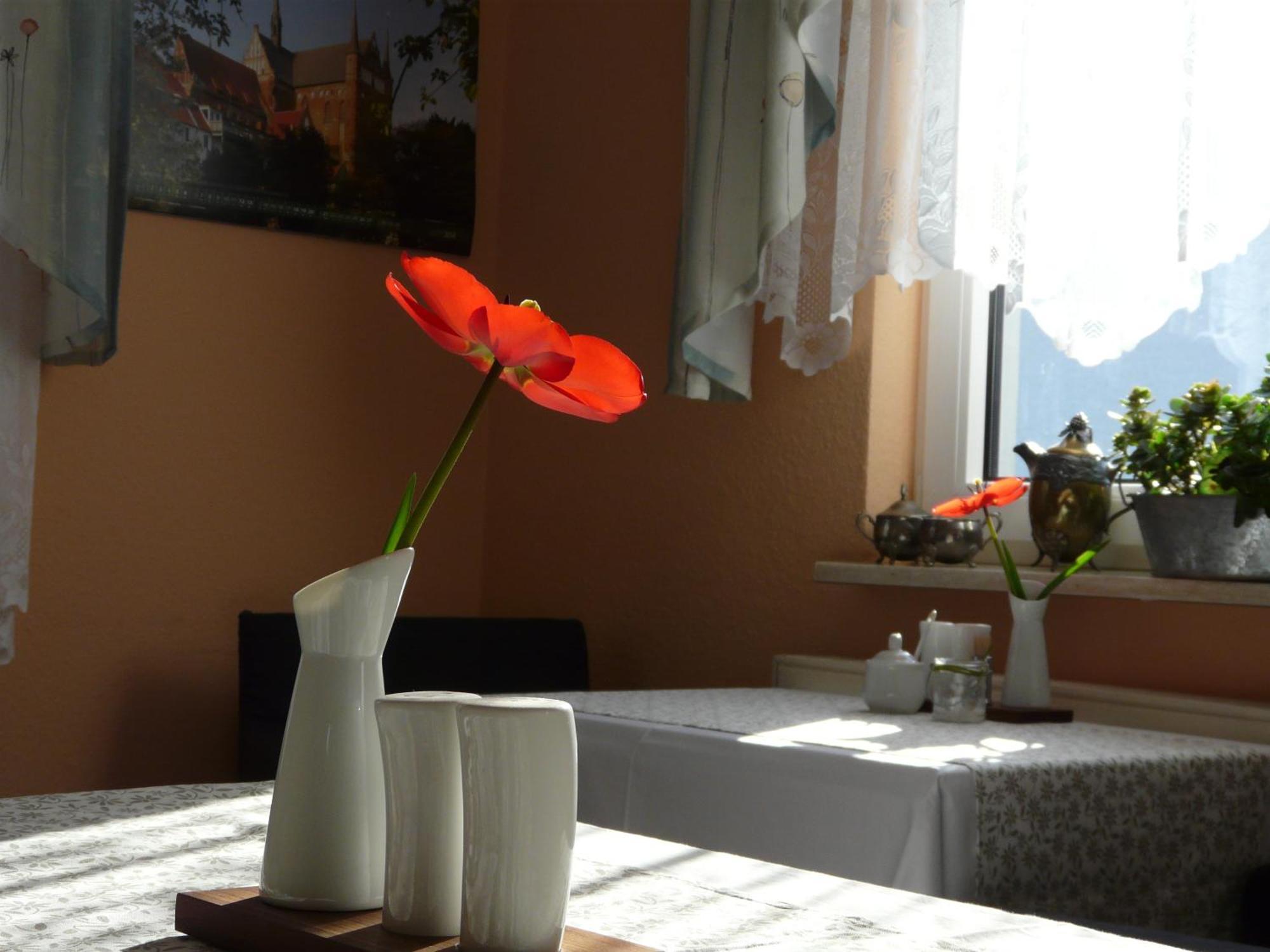 Pension Zur Kirchsee Insel Poel Dış mekan fotoğraf